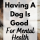 5 Reasons Why Having A Dog Is Good For Your Mental Health